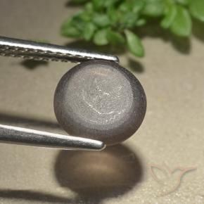 Cat's Eye Scapolite Gemstone in 8.5 mm (calibrated) Size for Sale, Cat's Eye Scapolite Stone in Medium Brown Color
