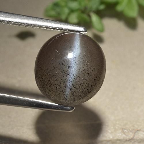3.06 ct Round Cat's Eye Scapolite, 9.1 mm From Madagascar, Photo A