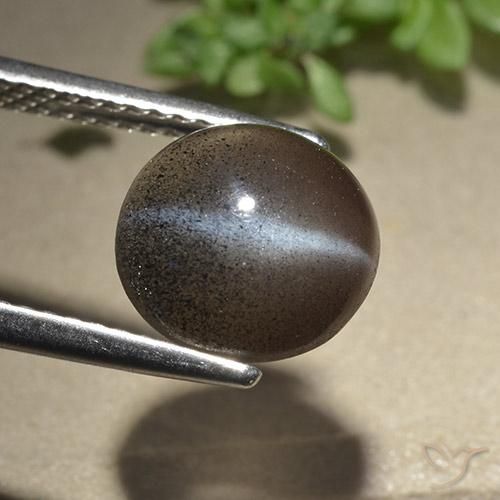 3.06 ct Brown Cat's Eye Scapolite Stone, Natural Cat's Eye Scapolite in Round Cabochon Shape for Sale