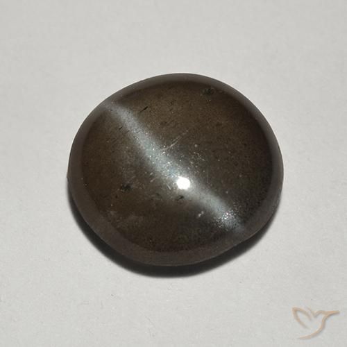 1.78 ct Black Cat's Eye Scapolite Stone, Natural Cat's Eye Scapolite in Round Cabochon Shape for Sale