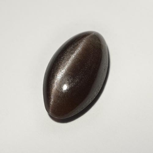 Negro Escapolita Ojo de Gato Gema - 2.7ct Cabujón Cortada Marquesa (ID: 518713)