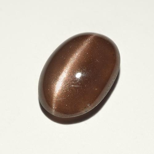 Warm Brown Scapolite effetto occhio di gatto Gem - 2.4ct Ovale cabochon (ID: 518714)