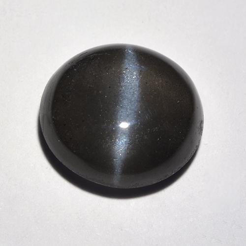 Negro Escapolita Ojo de Gato Gema - 2.6ct Cabujón Redondo (ID: 520169)
