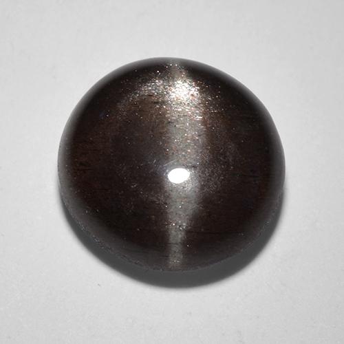 Negro Escapolita Ojo de Gato Gema - 2.6ct Cabujón Redondo (ID: 520172)