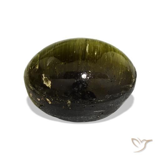 Cat's Eye Tourmaline Gemstone in 14.9 x 12 mm Size for Sale, Cat's Eye Tourmaline Stone in Medium Green Color