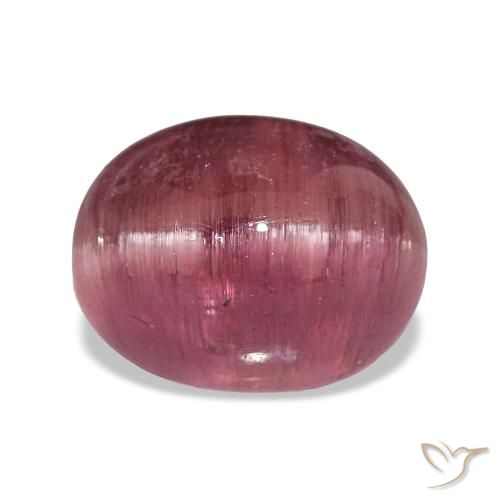 10.64ct Dark Pink Cat's Eye Tourmaline, Oval, Translucent