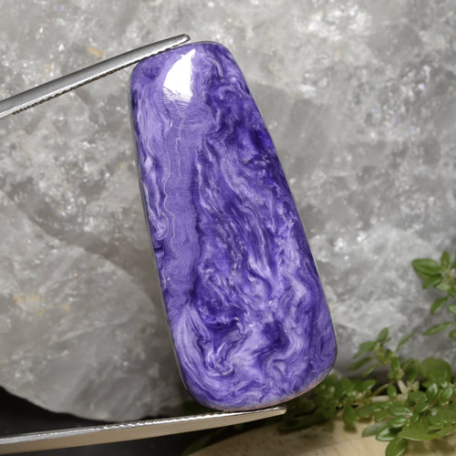 Intense Violet Charoite Gem - 33.5ct Trapezoid Cabochon (ID: 472238)