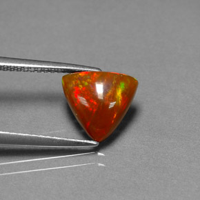 1.63 ct Multicolor Chocolate Opal Stone, Natural Chocolate Opal in Trillion Cabochon Shape for Sale