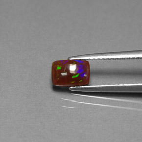 0.64 ct Multicolor Chocolate Opal Gemstone, Chocolate Opal Gem in Cushion Cabochon Shape for Sale.