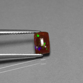 0.64 ct Multicolor Chocolate Opal Stone, Natural Chocolate Opal in Cushion Cabochon Shape for Sale