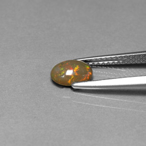 Chocolate Opal Gemstone in 7.1 x 5.2 mm Size for Sale, Chocolate Opal Stone in Multicolor Color