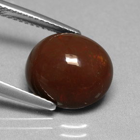 Chocolate Opal Gemstone in 12.7 x 11.5 mm Size for Sale, Chocolate Opal Stone in Multicolor Color