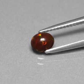 Chocolate Opal Gemstone in 5.9 x 4.9 mm Size for Sale, Chocolate Opal Stone in Multicolor Color