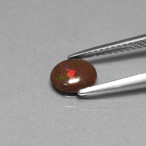 Chocolate Opal Gemstone in 6.6 x 5.9 mm Size for Sale, Chocolate Opal Stone in Multicolor Color