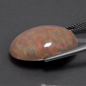 Chocolate Opal Gemstone in 19.7 x 14.1 mm Size for Sale, Chocolate Opal Stone in Multicolor Color