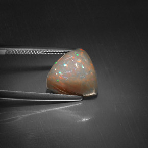 6.51 ct Multicolor Chocolate Opal Stone, Natural Chocolate Opal in Trillion Cabochon Shape for Sale