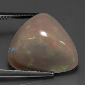 15.63 ct Multicolor Chocolate Opal Stone, Natural Chocolate Opal in Trillion Cabochon Shape for Sale