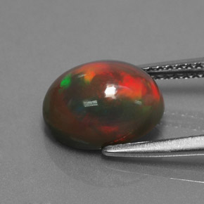 Chocolate Opal Gemstone in 10.6 x 8.2 mm Size for Sale, Chocolate Opal Stone in Multicolor Color