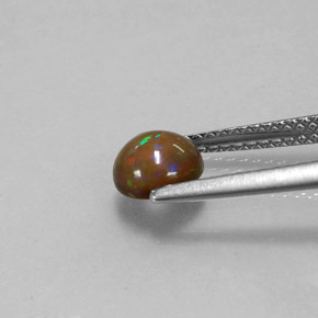 Chocolate Opal Gemstone in 6 mm (calibrated) Size for Sale, Chocolate Opal Stone in Multicolor Color