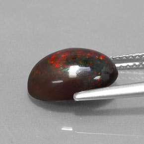Chocolate Opal Gemstone in 11.7 x 9 mm Size for Sale, Chocolate Opal Stone in Multicolor Color