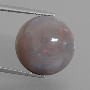 11.31 ct Multicolor Chocolate Opal Gemstone, Chocolate Opal Gem in Round Cabochon Shape for Sale.