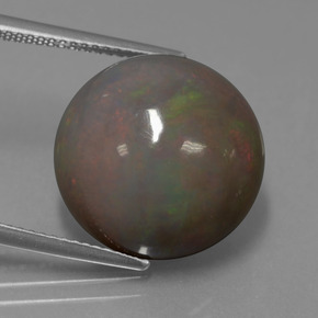 11.31 ct Multicolor Chocolate Opal Gemstone, Chocolate Opal Gem in Round Cabochon Shape for Sale.