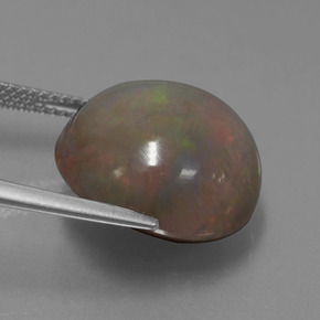 Chocolate Opal Gemstone in 16.3 mm Size for Sale, Chocolate Opal Stone in Multicolor Color