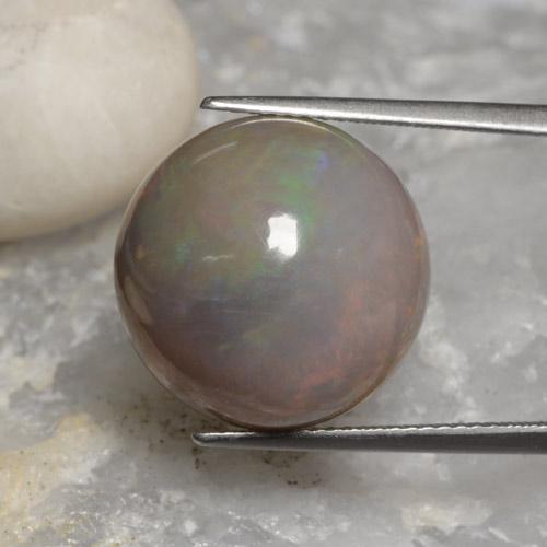 Multicolor Chocolate Opal Gem - 11.3ct Round Cabochon (ID: 450844)