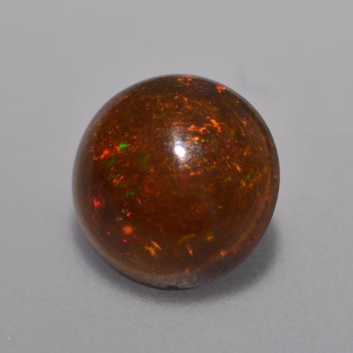 Multicolore Opale Chocolat gemme - 0.8ct Cabochon rond (ID: 572779)