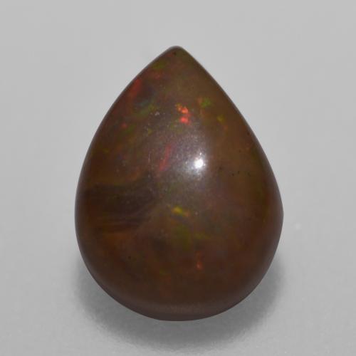 Multicolore Opale Chocolat gemme - 0.6ct Poire cabochon (ID: 572781)