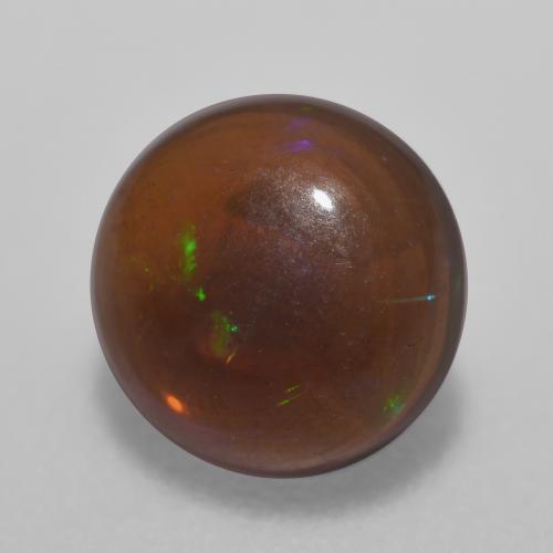 Multicolore Opale Chocolat gemme - 0.5ct Cabochon rond (ID: 572789)