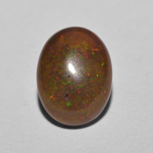 Multicolor Ópalo Chocolate Gema - 0.9ct Cabujón Óvalo (ID: 573114)