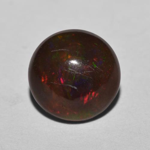 Multicolor Chocolate Opal Gem - 1.1ct Round Cabochon (ID: 573118)