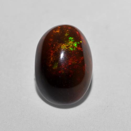 Многоцветный Шоколадный Опал Камень - 1.3ct Овал Кабошон (ID: 573421)