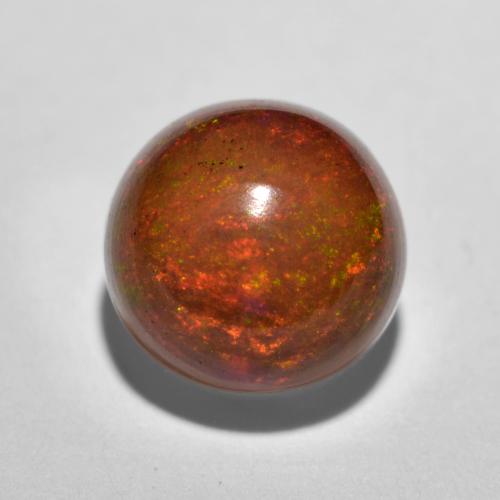Multicolore Opale Chocolat gemme - 1.1ct Cabochon rond (ID: 573434)