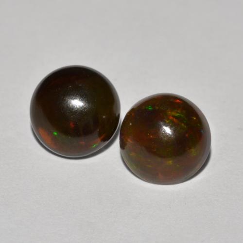 Mehrfarbig Schokoladen Opal Edelstein - 0.8ct Rund Cabochon (ID: 573848)