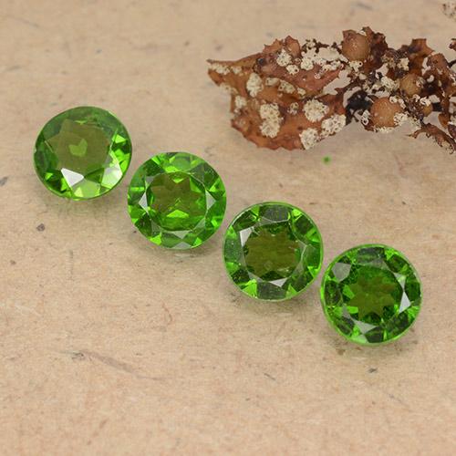 Medium-Dark Green Хром Диопсид Камень - 0.5ct Круглая Фасетная Огранка (ID: 488982)