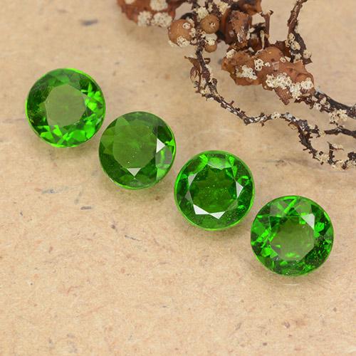 Темно-зеленый Хром Диопсид Камень - 0.5ct Круглая Фасетная Огранка (ID: 489039)
