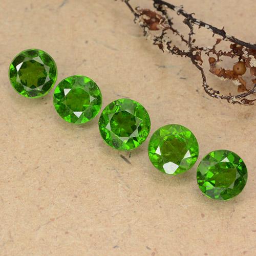 Medium-Dark Green Хром Диопсид Камень - 0.5ct Круглая Фасетная Огранка (ID: 489062)