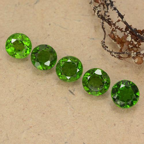 Medium-Dark Green Хром Диопсид Камень - 0.5ct Круглая Фасетная Огранка (ID: 489065)