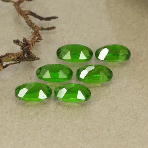 Chrome Diopside Gemstones in 5 x 3 mm (calibrated) Size for Sale, Chrome Diopside Stones in Medium-Dark Green Color