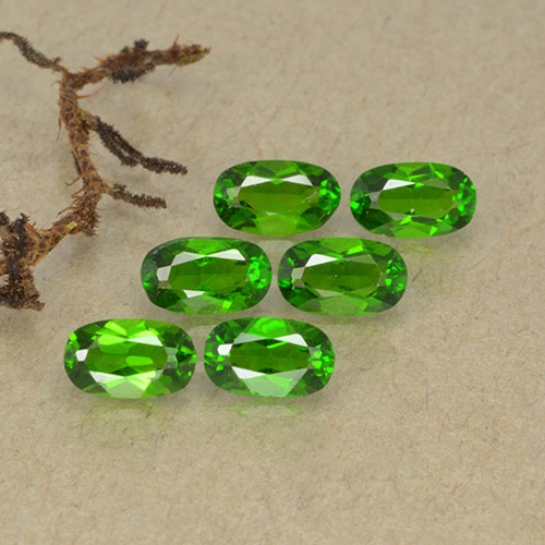 Лот из 6 Овал Зеленый Хром Диопсид из Россия - общий вес 1,57 ct / средний вес. 0,26 ct каждый, размер 5 x 3 mm, цвет: Зеленый, твердость по Моосу 5 - 6, Photo A