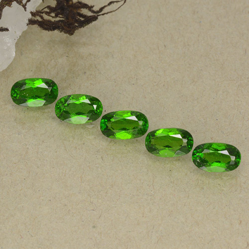 Bright Forest Green Cromo diopside Gem - 0.3ct Ovale sfaccettato (ID: 498193)