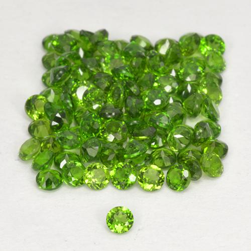 Lot of 100pc Round Green Chrome Diopside from Russia - Size 1.7mm, Weight 2.58ct total / avg. 0.03ct each, Color: Lively Green, Mohs Hardness 5 - 6, Photo A