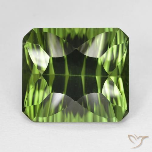 11.14 ct Octagon Concave Cut Chrome Diopside, 14 x 12.3 mm From Brazil, Photo A