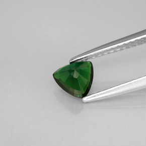 Chrome Tourmaline Gemstone in 5.4 x 5.3 mm Size for Sale, Chrome Tourmaline Stone in Green Color