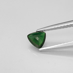 Chrome Tourmaline Gemstone in 4.8 x 4.7 mm Size for Sale, Chrome Tourmaline Stone in Green Color