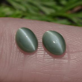 Chrysoberyl Cat's Eye Gemstones in 5.4 x 3.9 mm Size for Sale, Chrysoberyl Cat's Eye Stones in Green Color