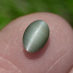 Chrysoberyl Cat's Eye Gemstone in 6 x 4.2 mm Size for Sale, Chrysoberyl Cat's Eye Stone in Green Color
