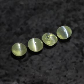 1.55 ctw Green Chrysoberyl Cat's Eye Stones, Natural Chrysoberyl Cat's Eye in Round Cabochon Shape for Sale